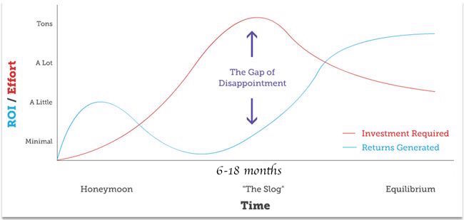 SEO Curve